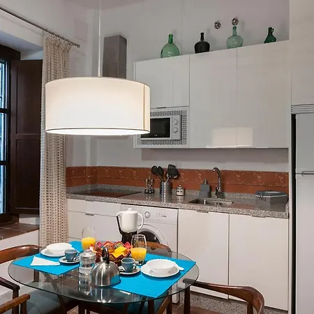公寓 Horno 24 La Casa Del Patio Andalusi 科爾多瓦